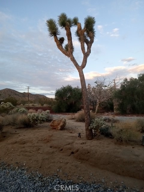 60194 60194 La Mirada