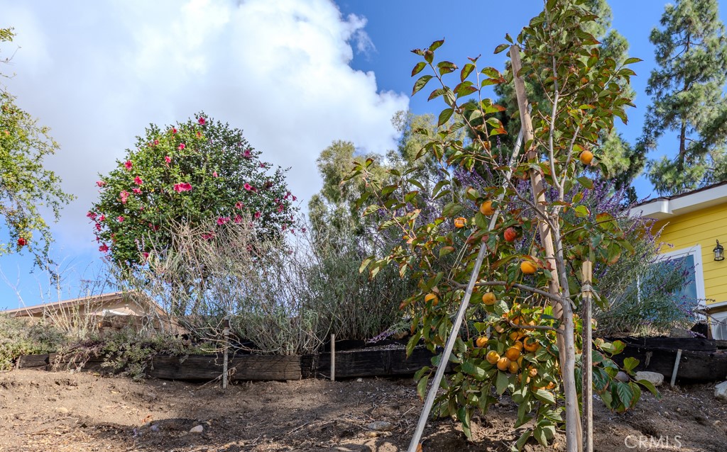 7655 E Silver Dollar Lane