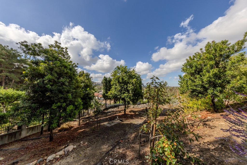 7655 E Silver Dollar Lane