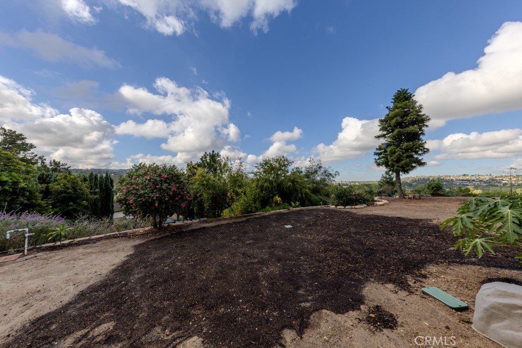 7655 E Silver Dollar Lane