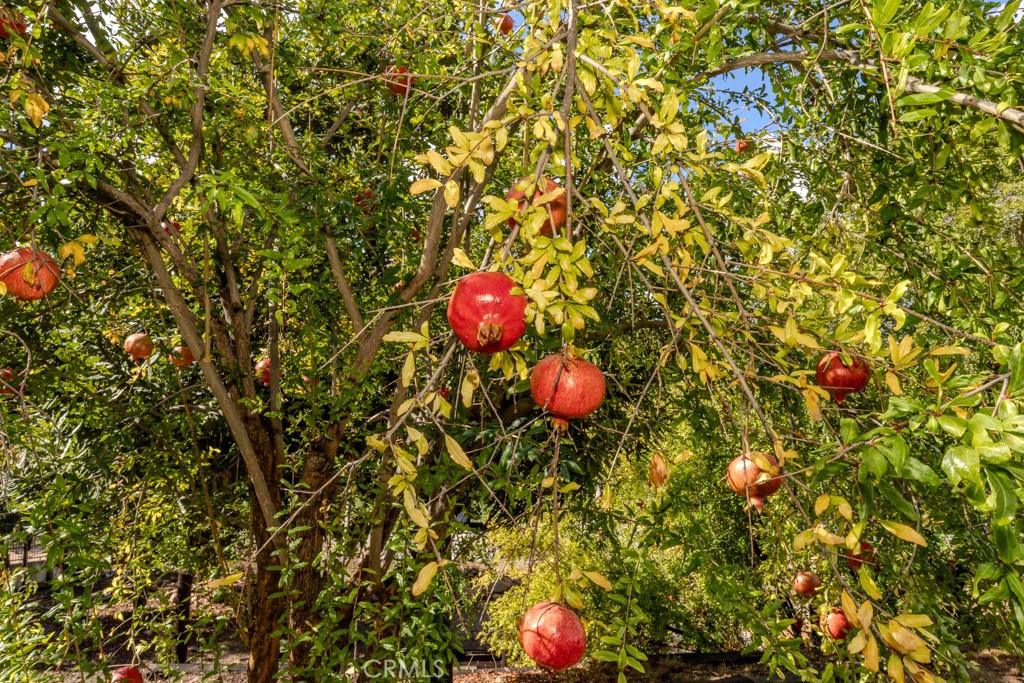 7655 E Silver Dollar Lane