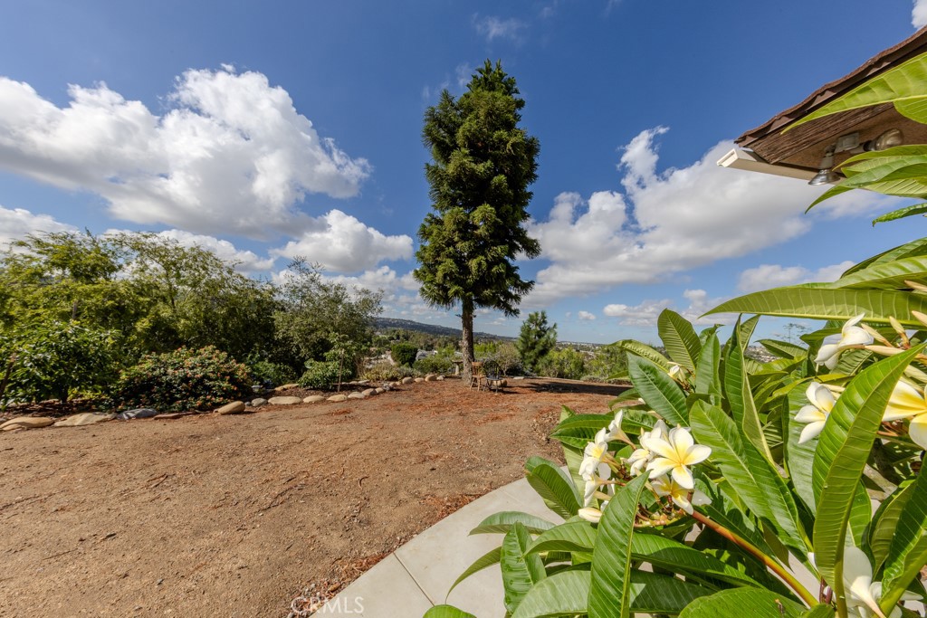 7655 E Silver Dollar Lane