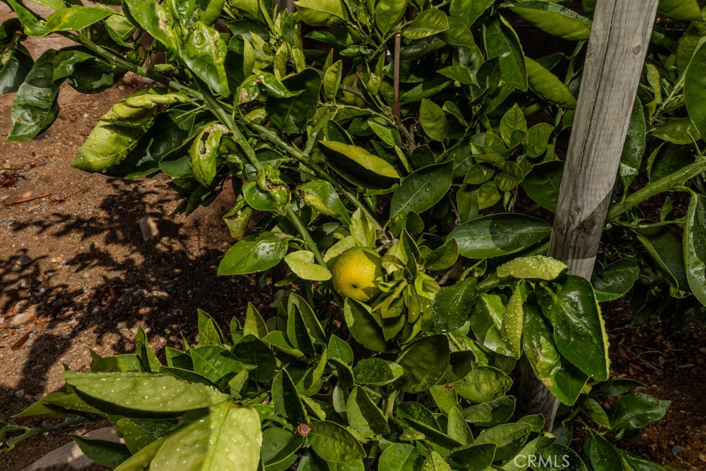 7655 E Silver Dollar Lane