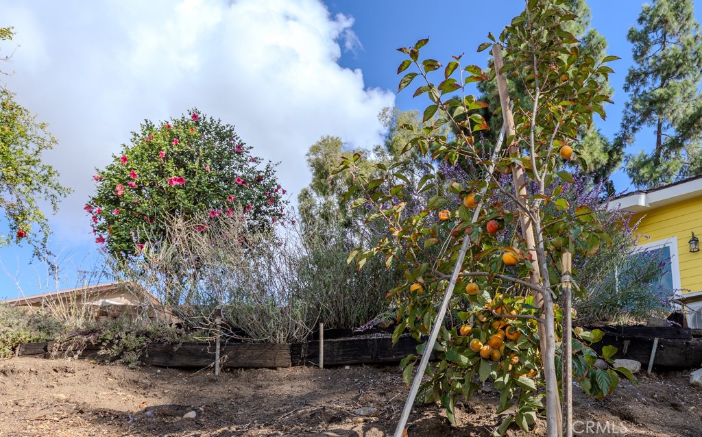 7655 E Silver Dollar Lane