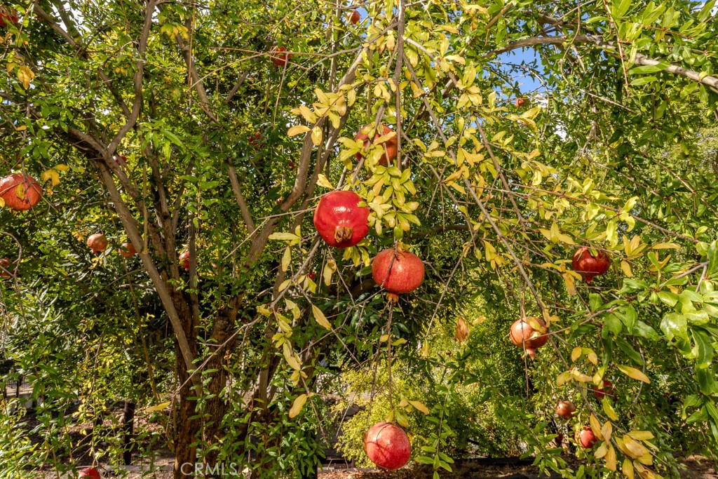 7655 E Silver Dollar Lane