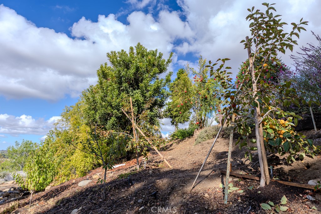 7655 E Silver Dollar Lane