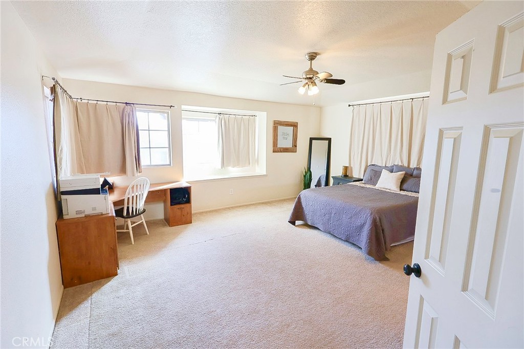 24328 Millsap