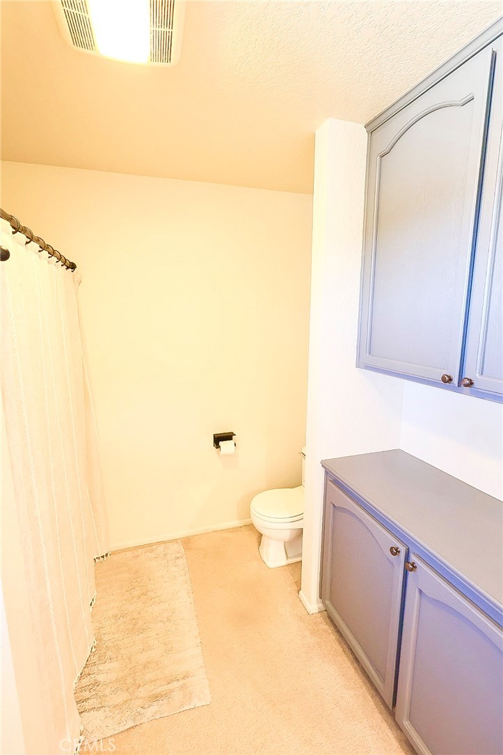 24328 Millsap