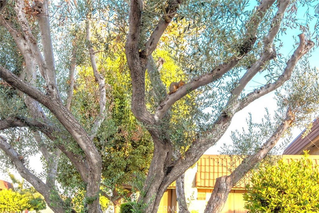 11253 Gardiners Court