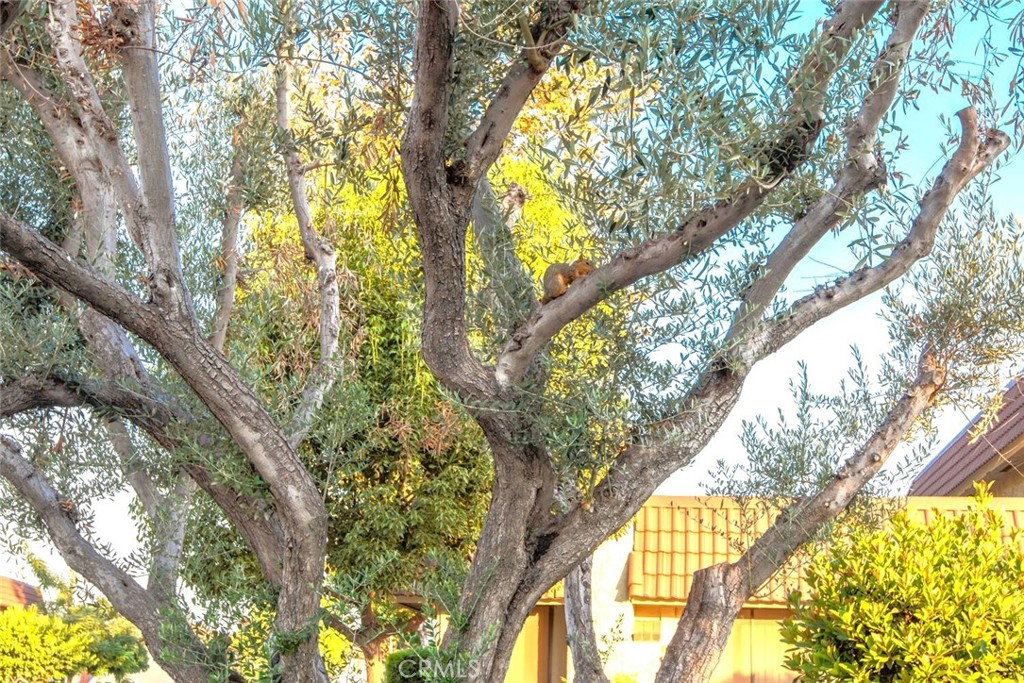 11253 Gardiners Court