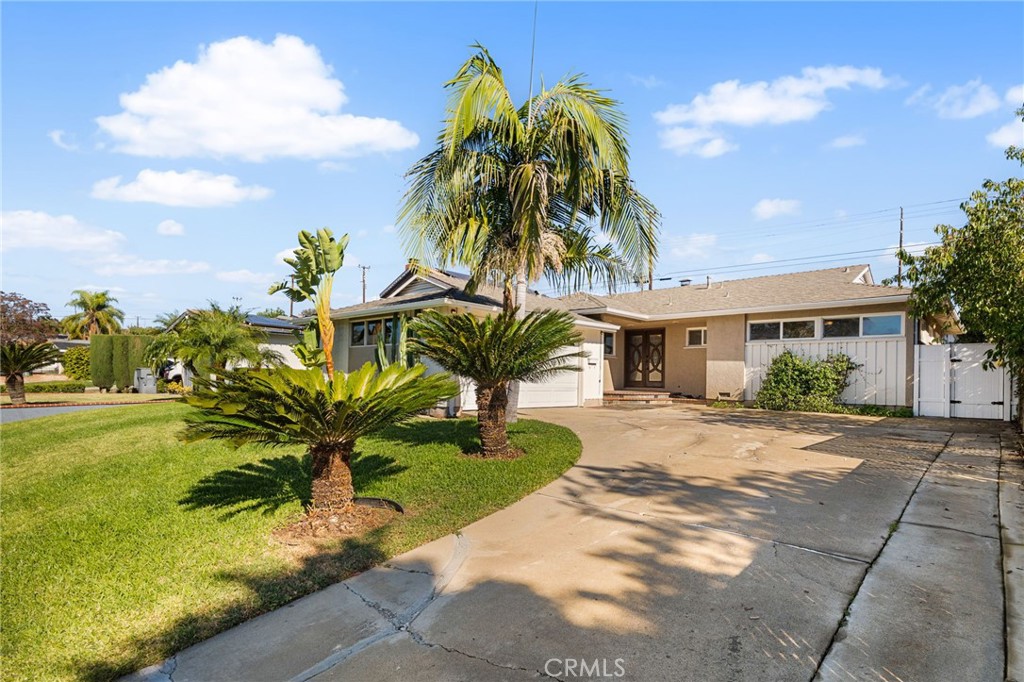 540 Laura Street