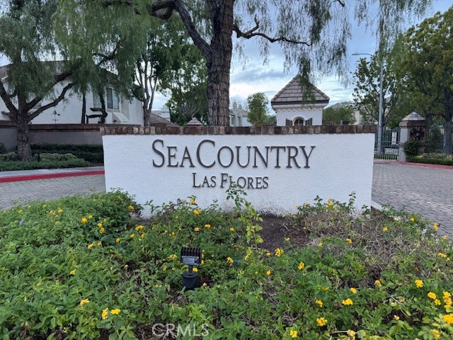 229 Seacountry