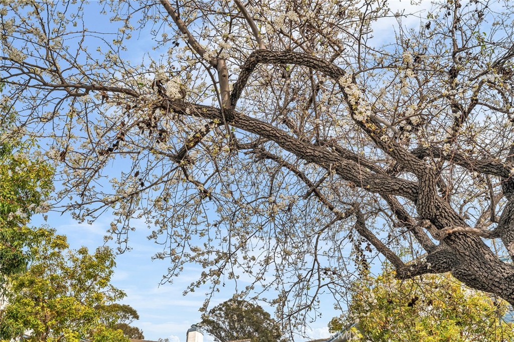 4260 4260 Via Arbolada 206