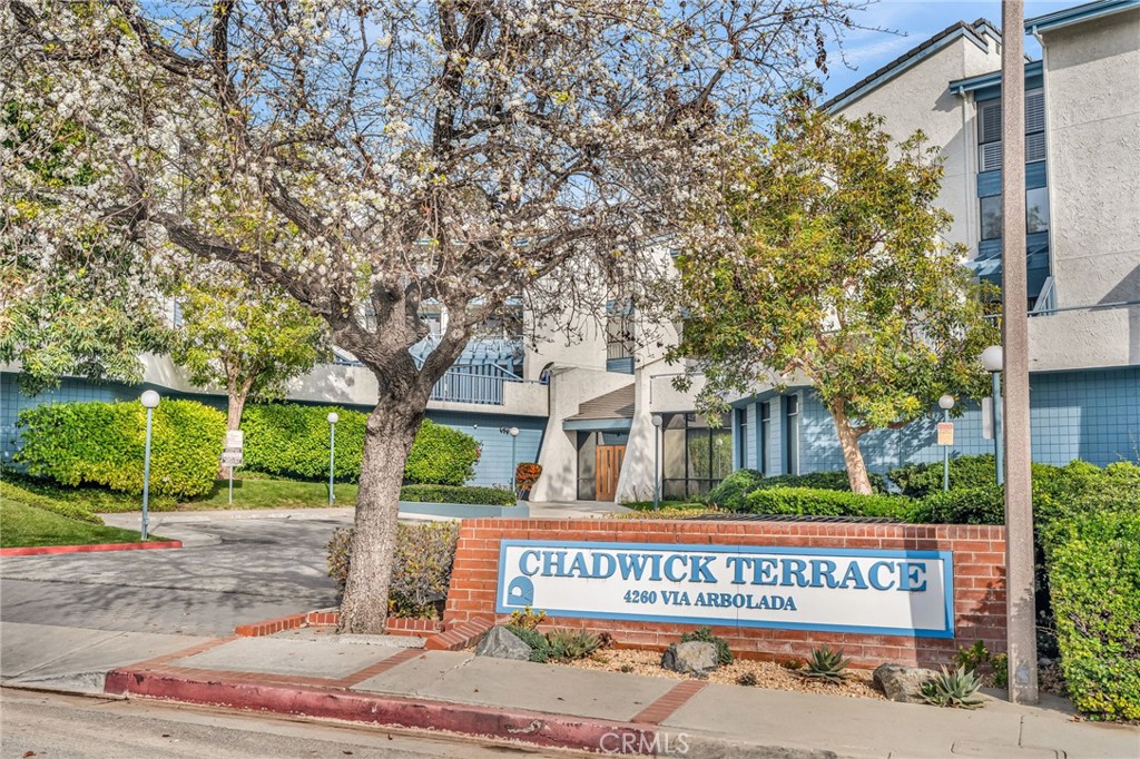 4260 4260 Via Arbolada 206