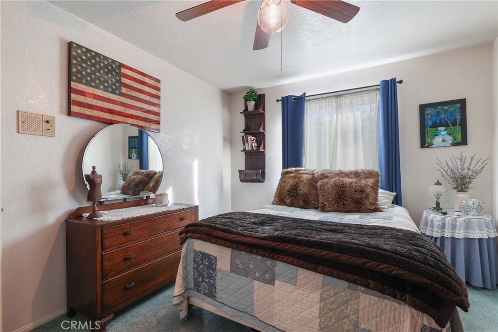 10402 Patricia Drive