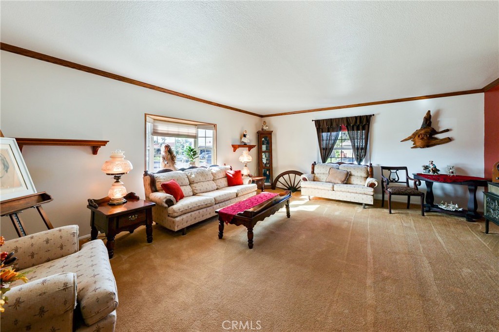 10402 Patricia Drive