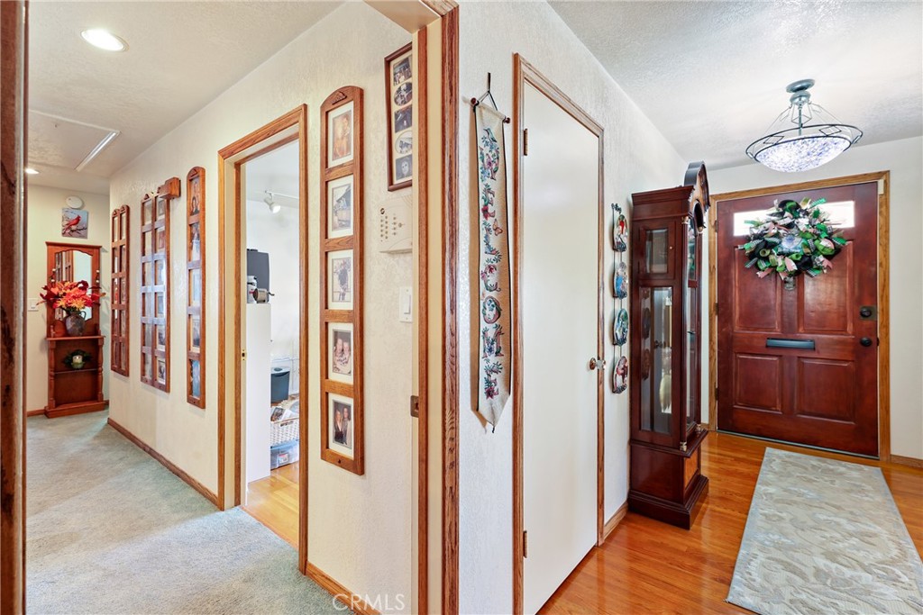 10402 Patricia Drive