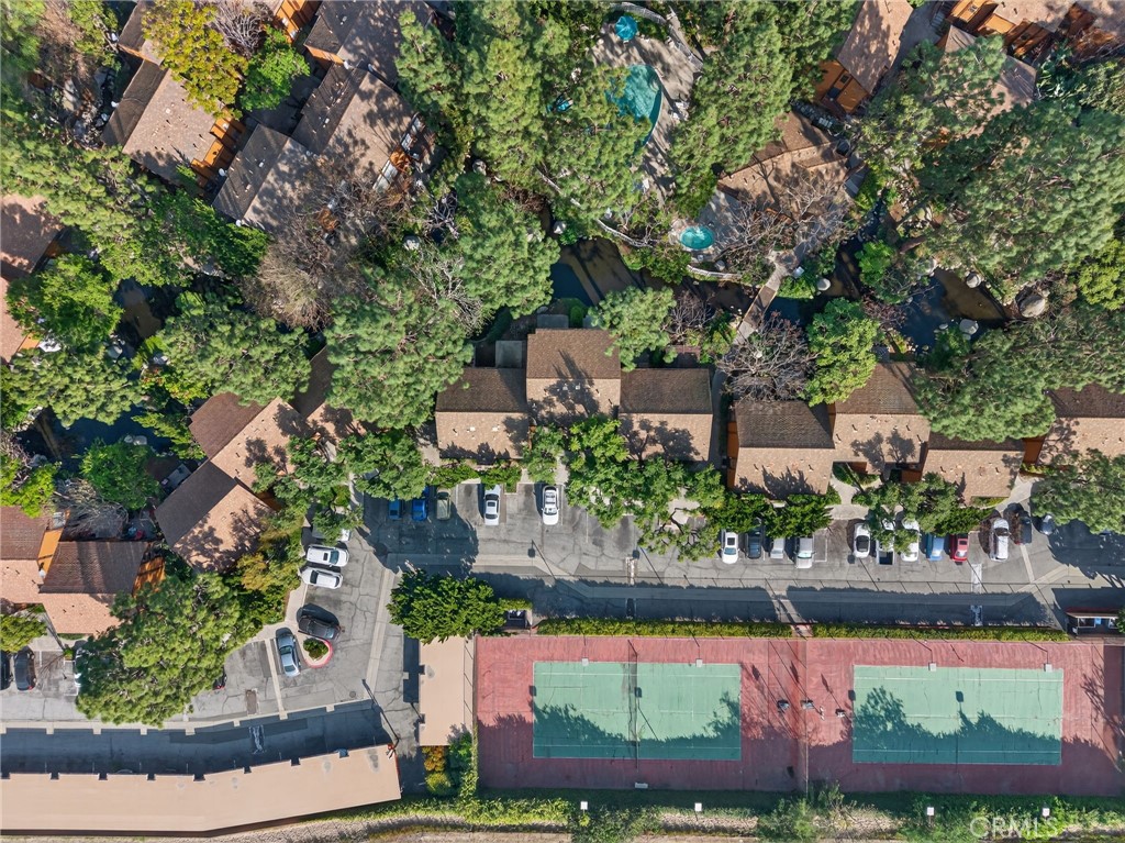 14004 Edgewater Drive