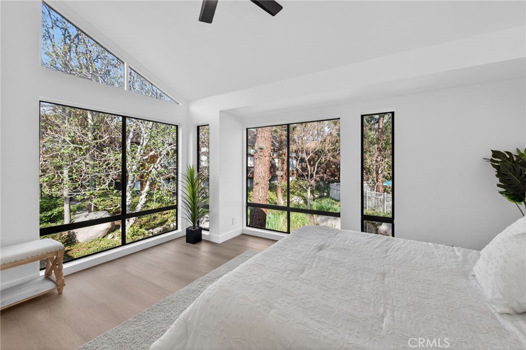 14004 Edgewater Drive