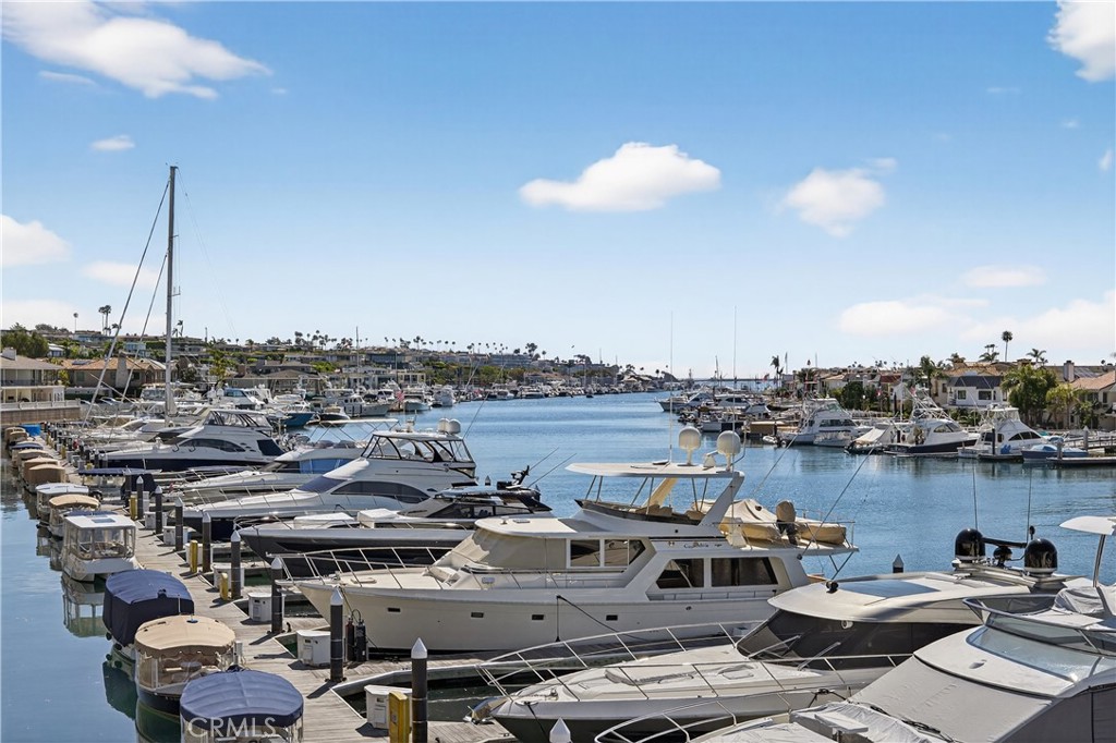 1203 Bayside