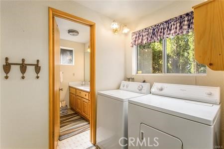 42962 Dogwood Drive