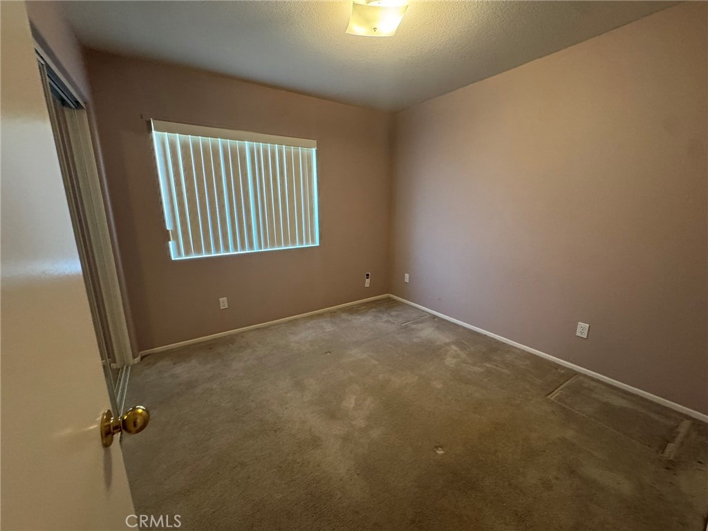 47590 Sugar Loaf