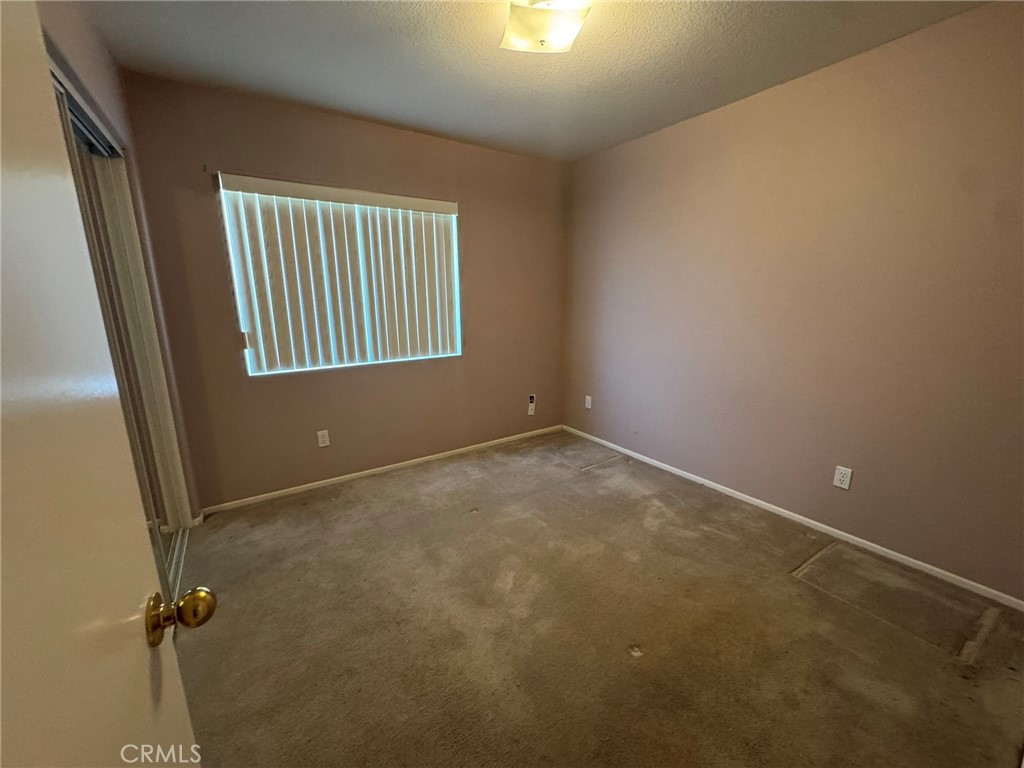 47590 Sugar Loaf