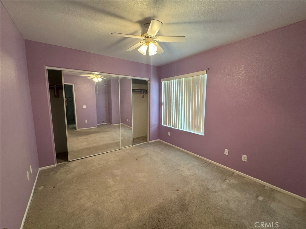47590 Sugar Loaf