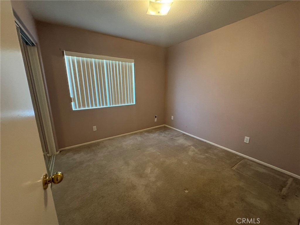 47590 Sugar Loaf