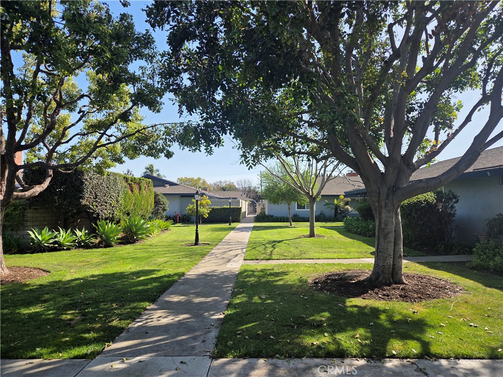 1107 W Memory Lane 6C