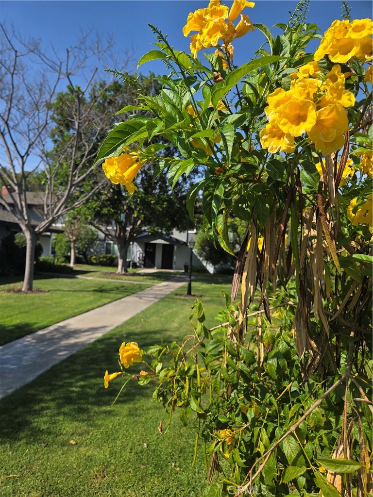 1107 W Memory Lane 6C