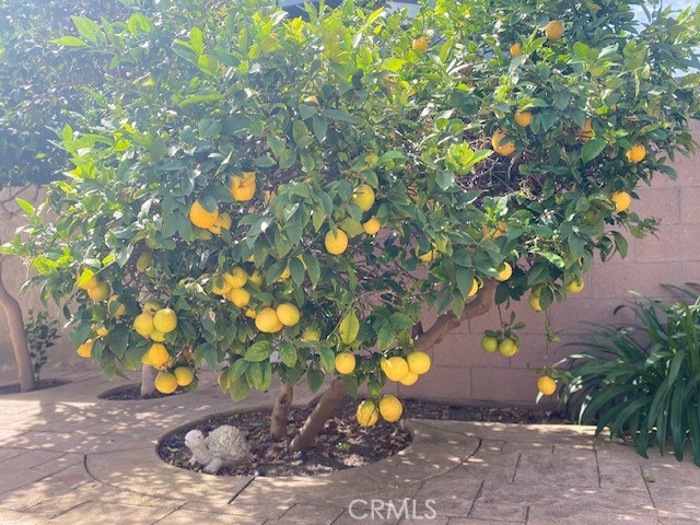 4819 Hersholt Avenue