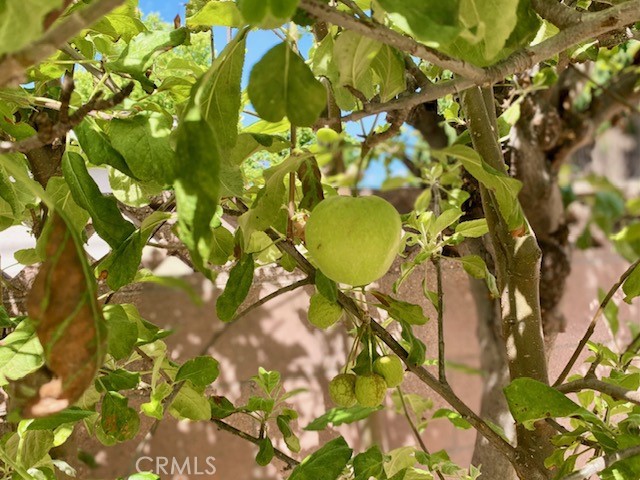 4819 Hersholt Avenue