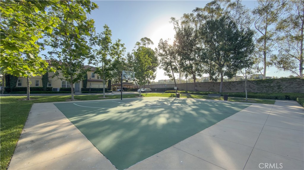 52 Coralwood