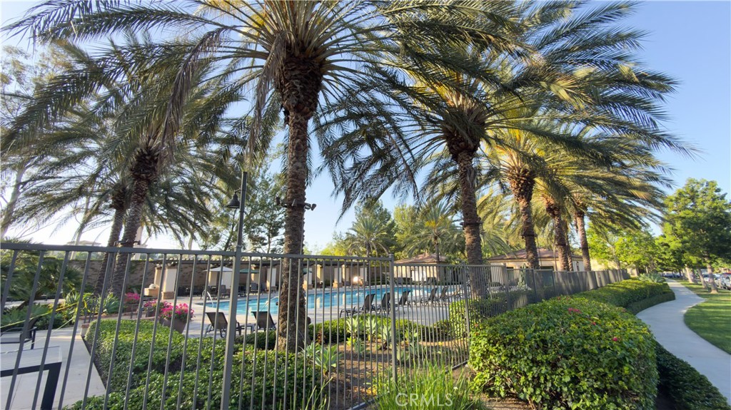 52 Coralwood
