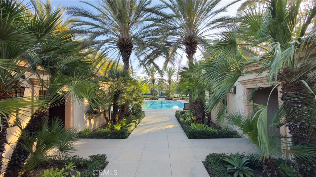 52 Coralwood