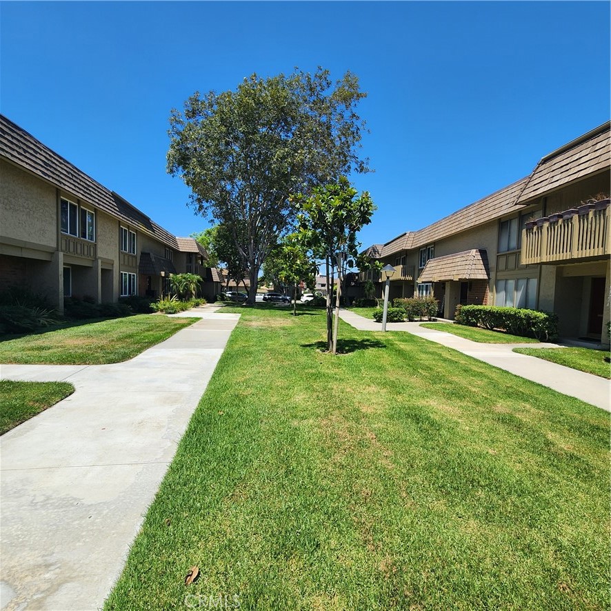 10238 Black River Court