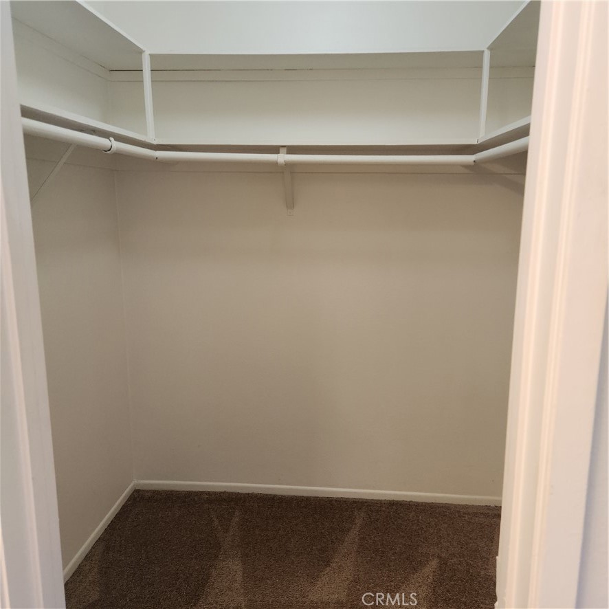 10238 Black River Court