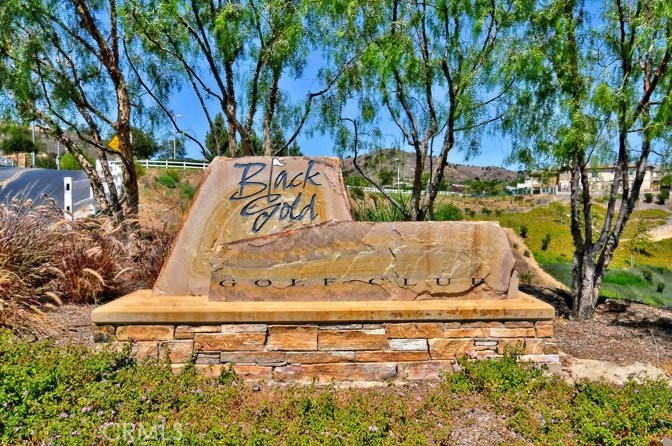 17265 BLUE SPRUCE