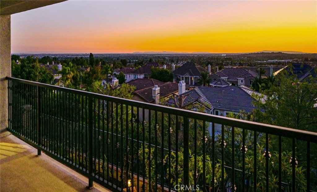17265 BLUE SPRUCE