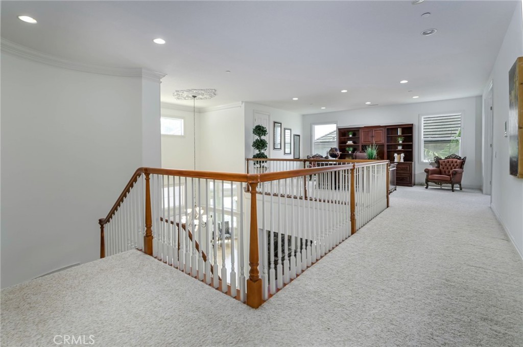 17265 BLUE SPRUCE