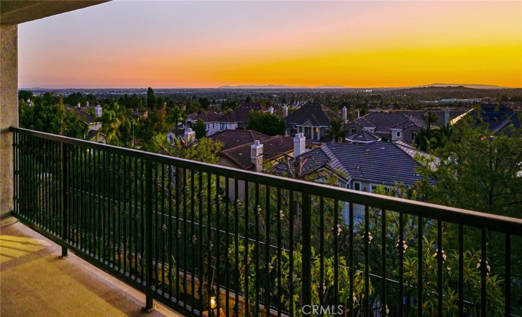 17265 BLUE SPRUCE