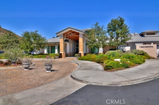 17265 BLUE SPRUCE
