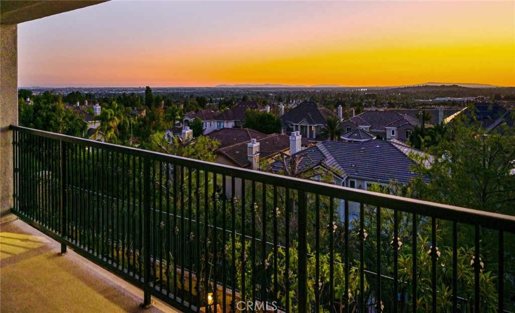 17265 BLUE SPRUCE