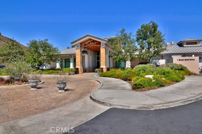 17265 BLUE SPRUCE