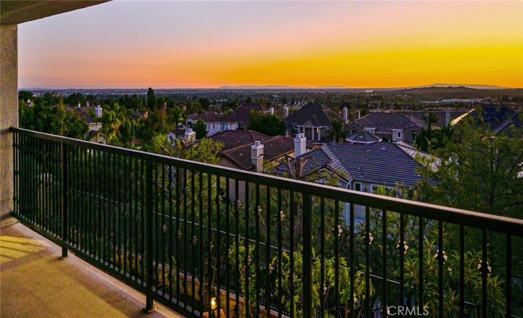 17265 BLUE SPRUCE