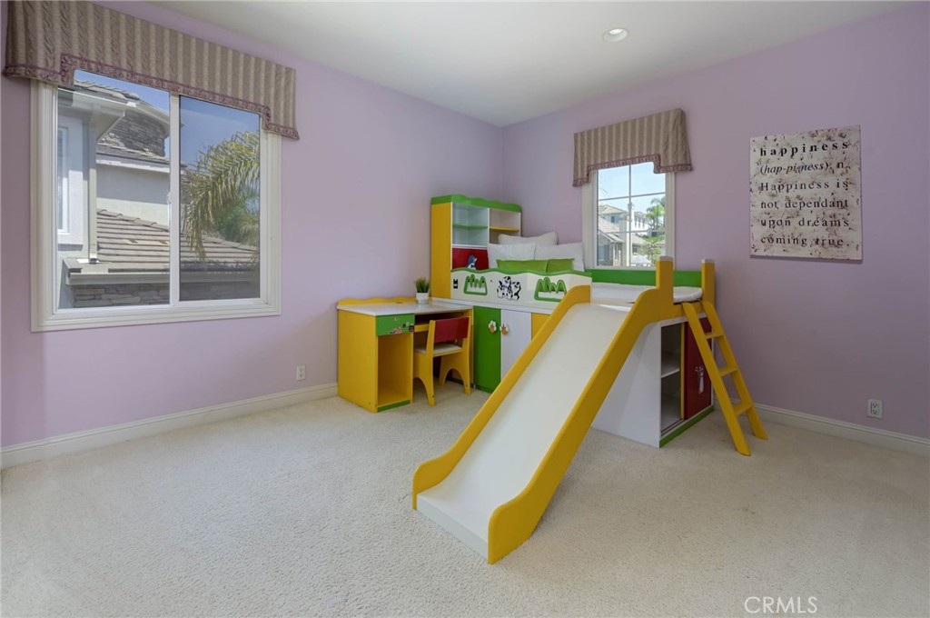 17265 BLUE SPRUCE