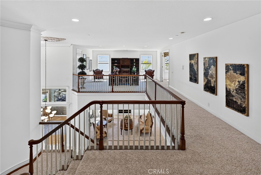 17265 BLUE SPRUCE