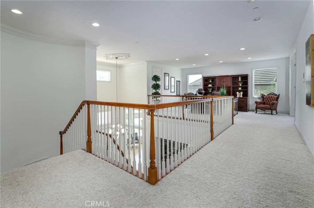 17265 BLUE SPRUCE