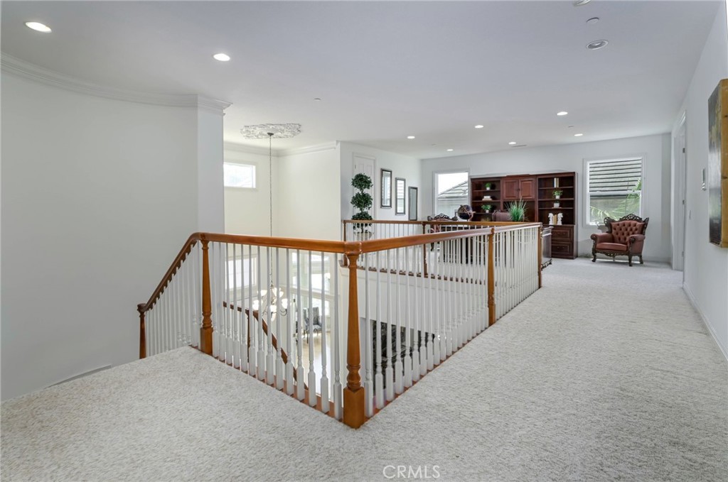 17265 BLUE SPRUCE